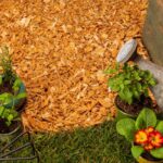 Wood Chips vs Mulch