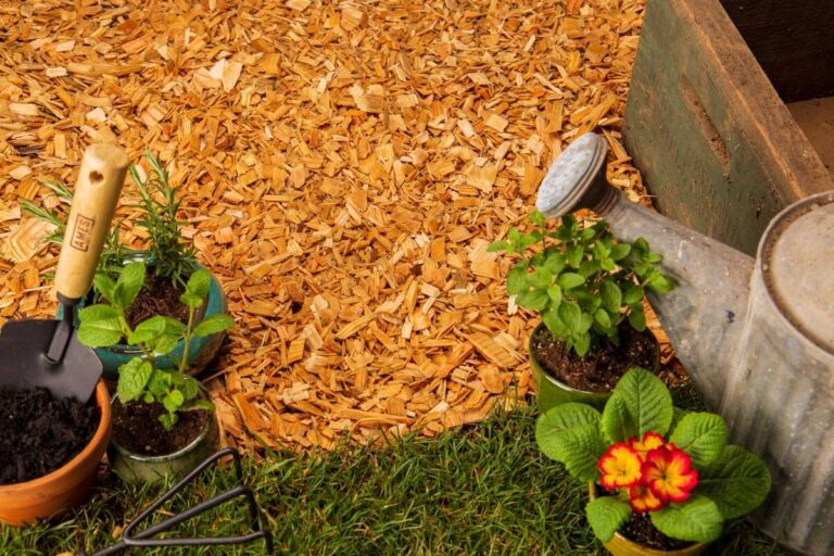 Wood Chips vs Mulch