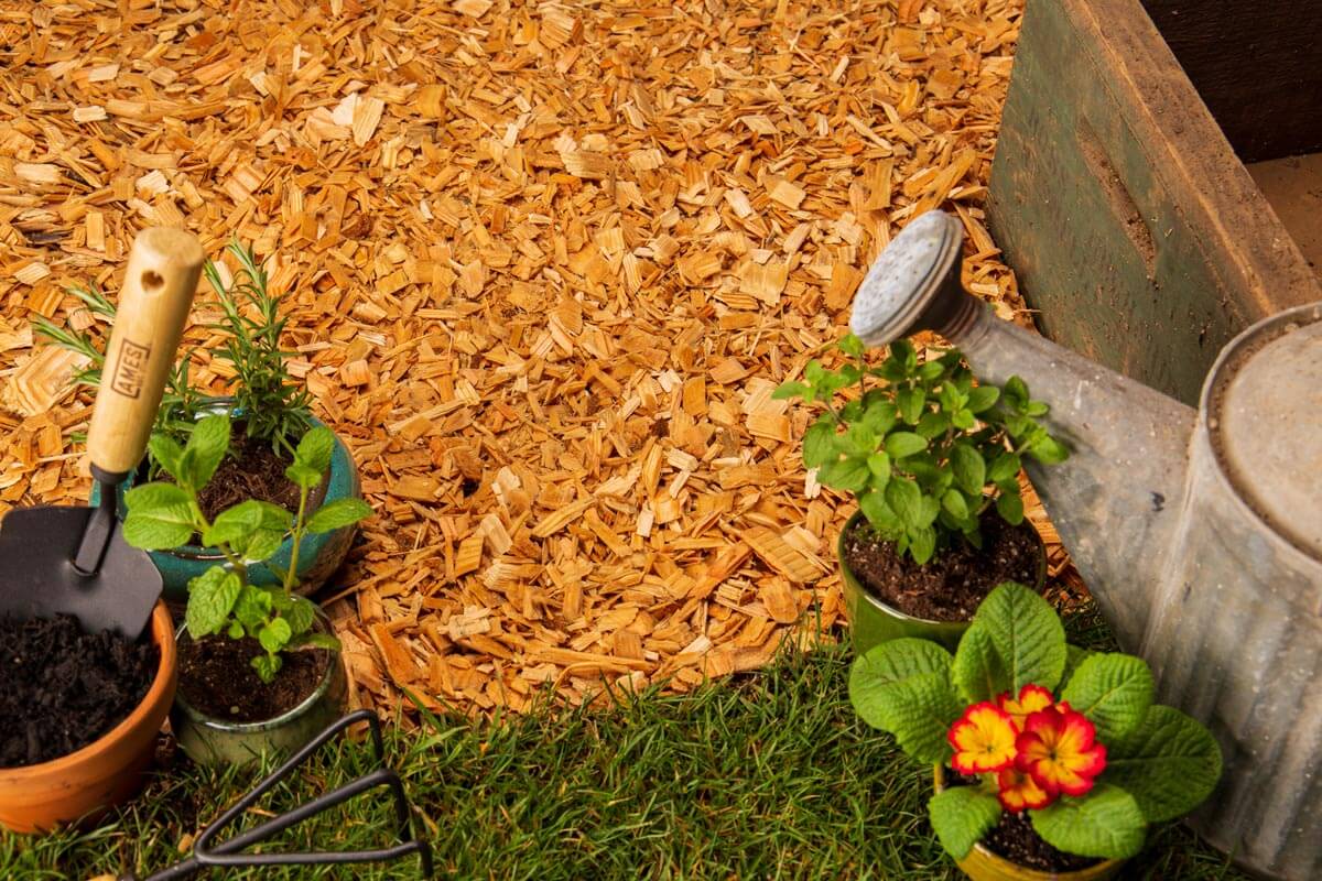 Wood Chips vs Mulch