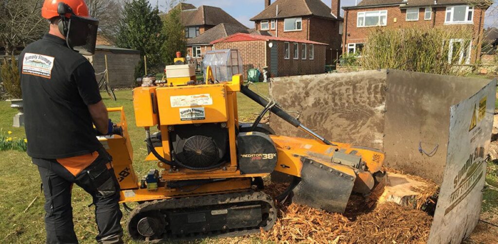 Grinding Large Tree Stumps