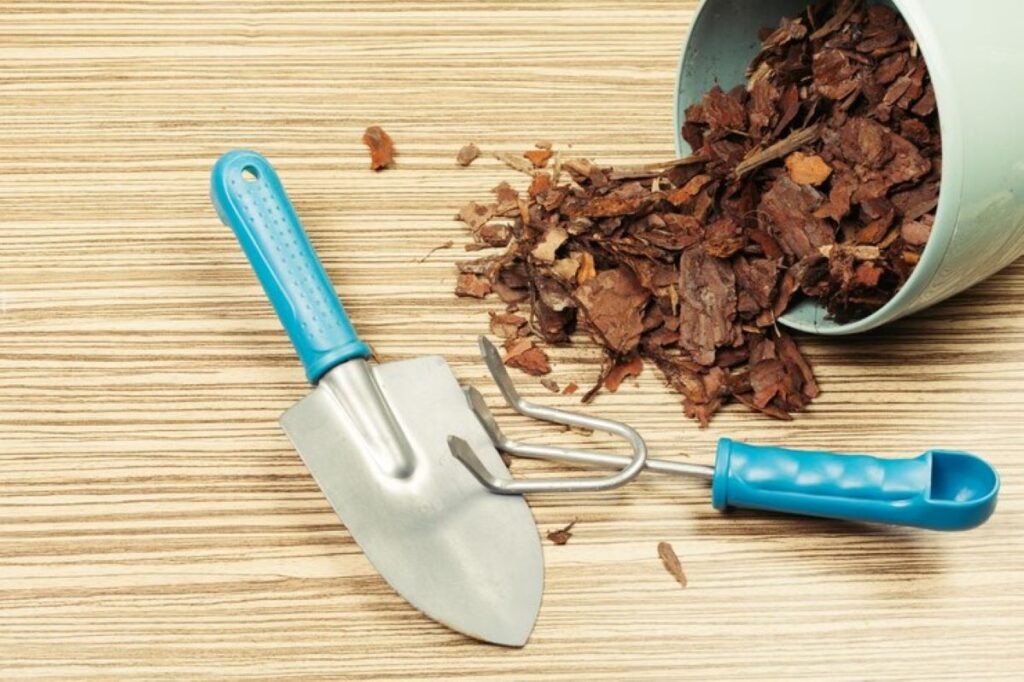 Wood Chips vs Mulch