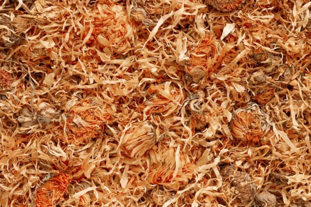 Wood Chips vs Mulch
