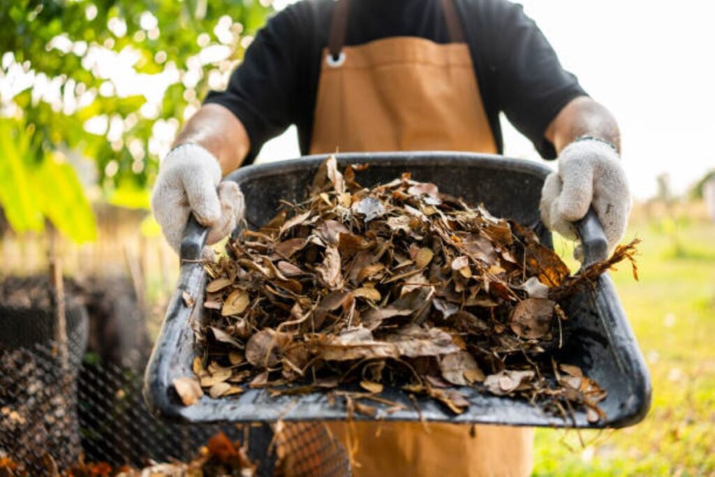 Wood Mulch