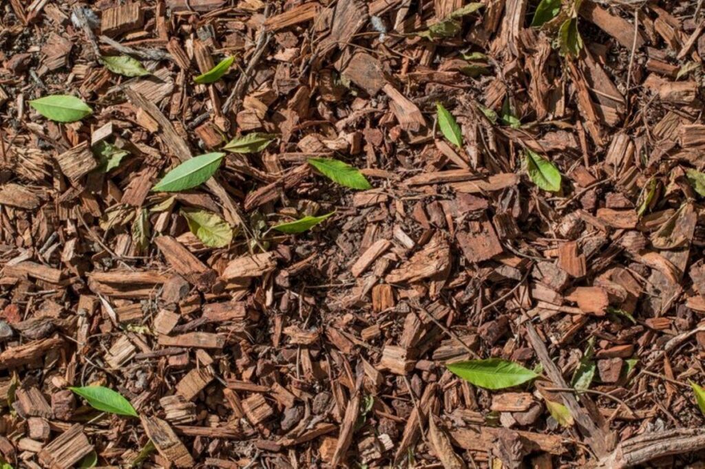 Wood Mulch