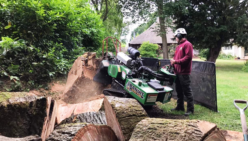 Grinding Large Tree Stumps