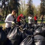 garden waste removal