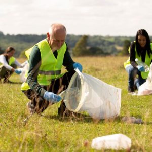 Garden Waste Removal Near Me: 5 Services to Compare Before Booking